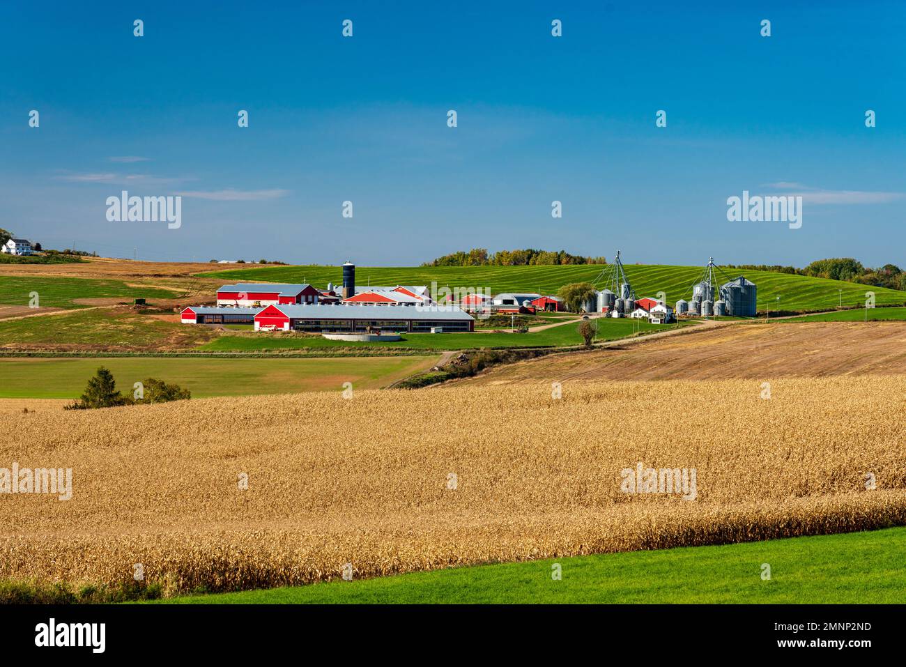 A large farm in the hills of the Annapolis Valley, Nova Scotia, Canada