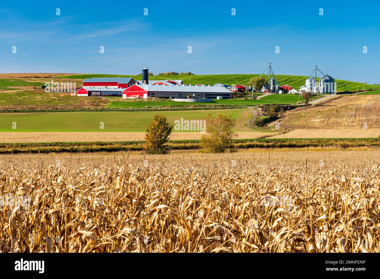A large farm in the hills of the Annapolis Valley, Nova Scotia, Canada