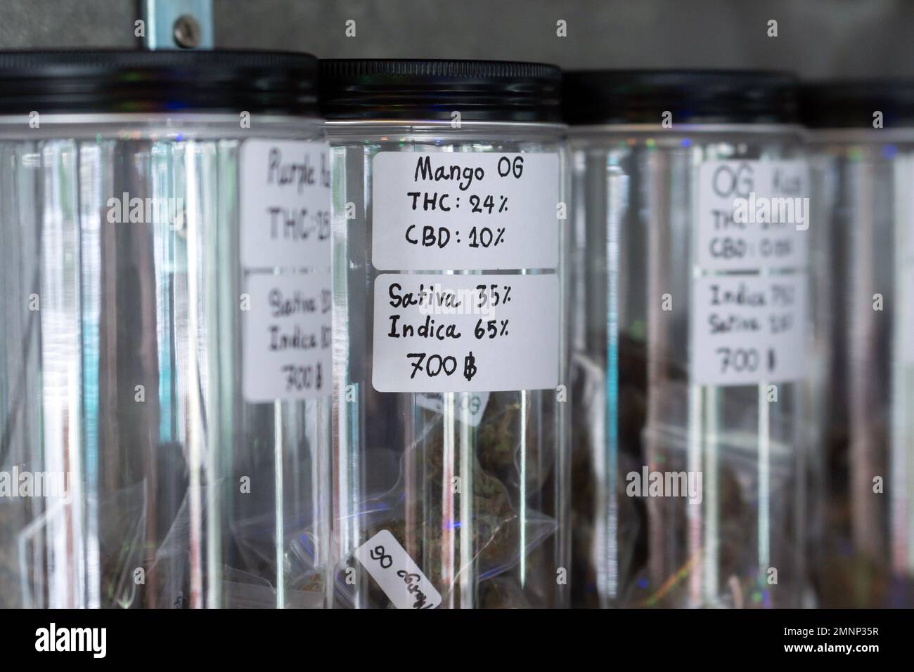 jars of cannabis in Thailand in the store, legal marijuana trade Stock