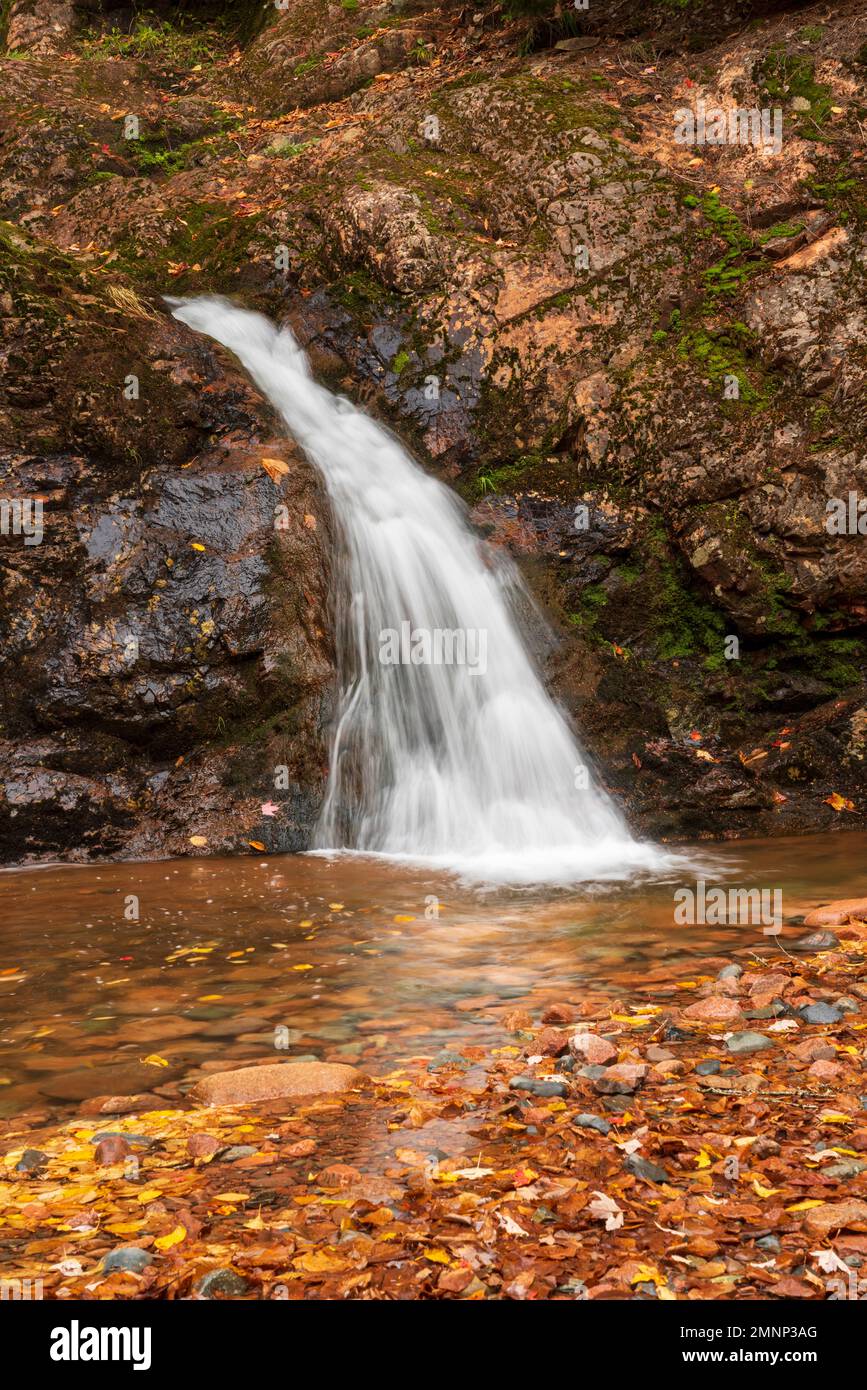 Wentworth Falls with fall foliage color in the Wentworth Valley,  Nova Scotia, Canada. Stock Photo