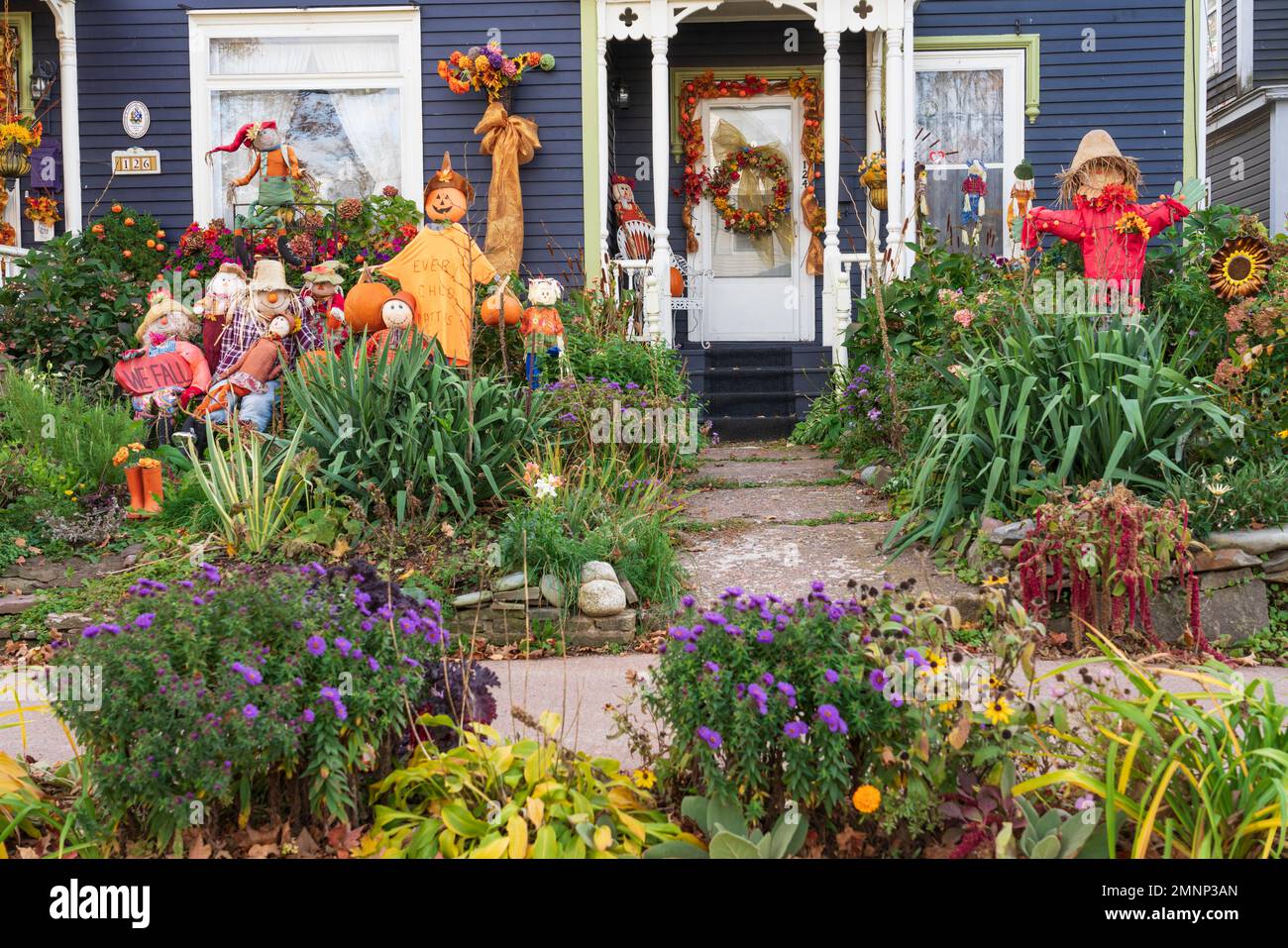 A pumpkin and scarecrow display in the front yard of a home in Truro, Nova Scotia, Canada. Stock Photo