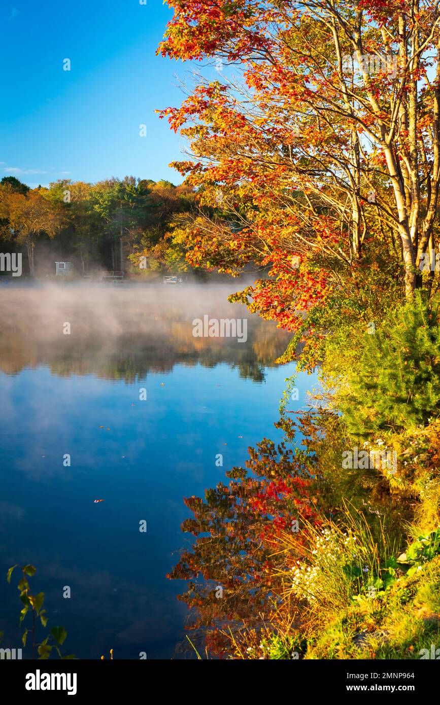 Fall fol;iage color in the trees at a small pond in Halifax, Nova