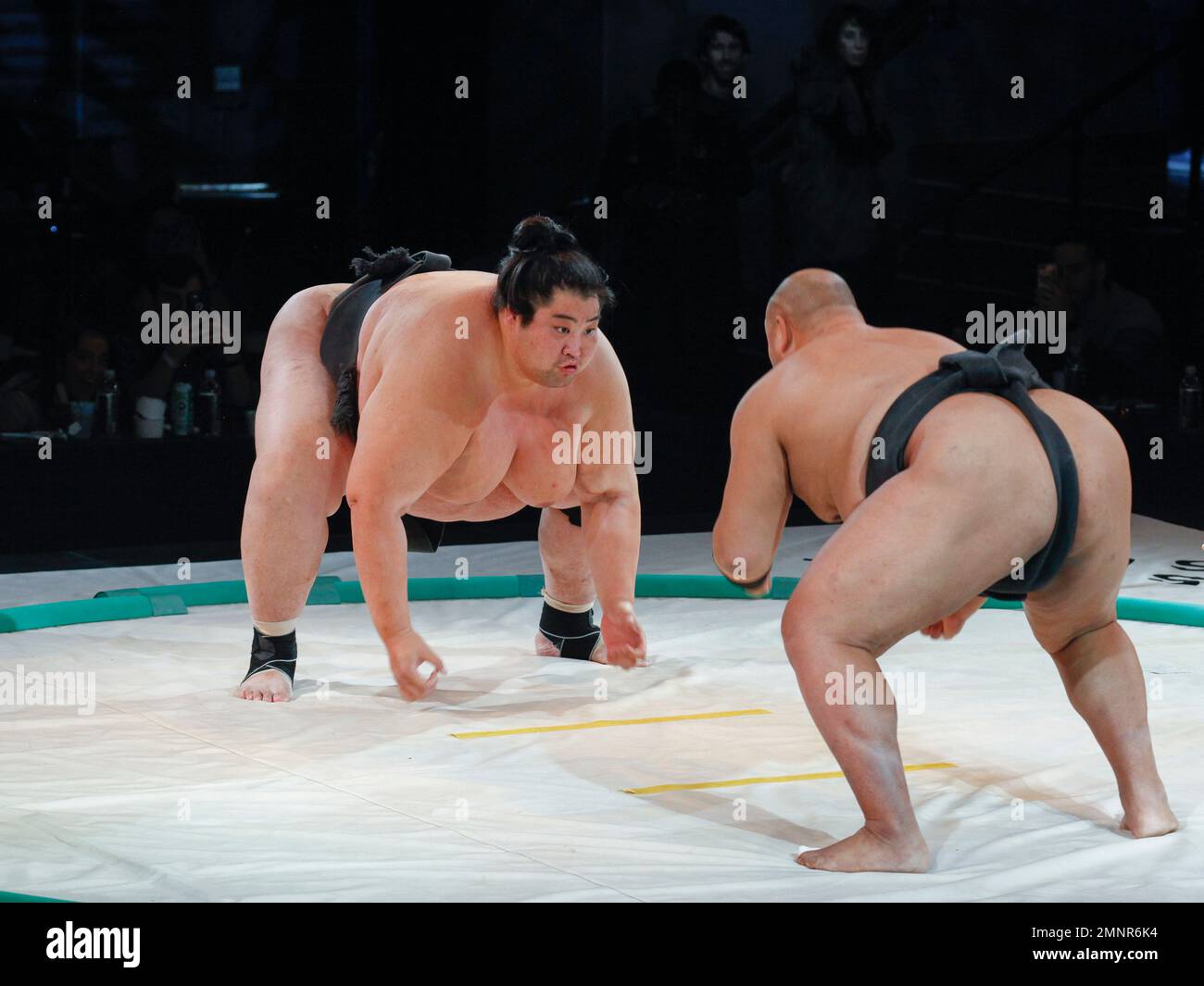 World champion sumo wrestlers Yama Ryuichi, left, and Byamba Ulambayar