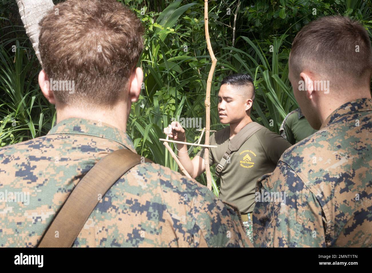 Reconnaissance Ph A Philippine reconnaissance Marine demonstrates how to set a bird trap ...