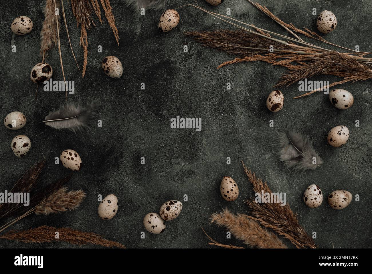 Frame with Easter eggs and feathers on dark. Flat lay, Top view. Easter holiday concept. Stock Photo