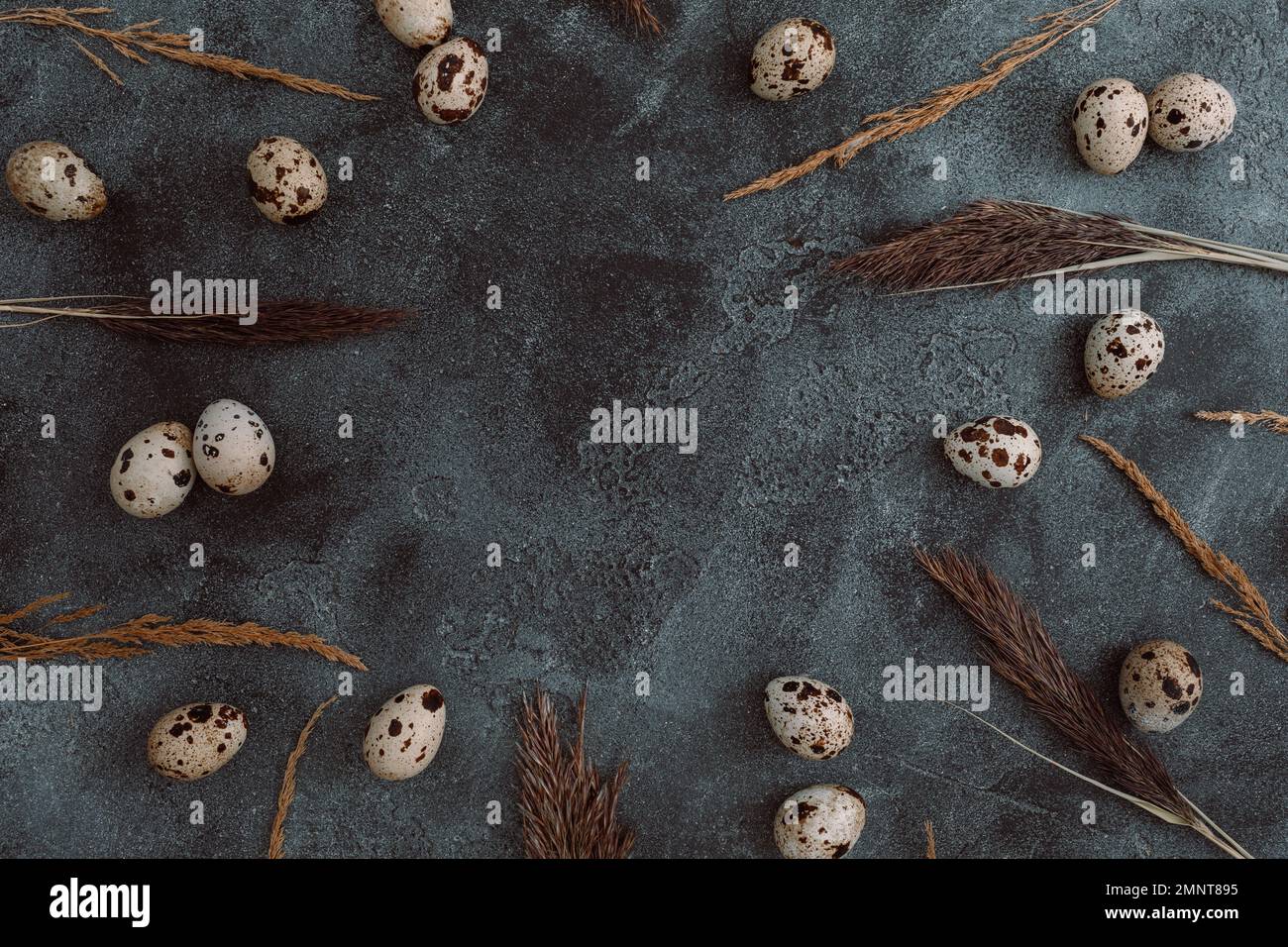 Frame with Easter eggs and feathers on dark. Flat lay, Top view. Easter holiday concept. Stock Photo