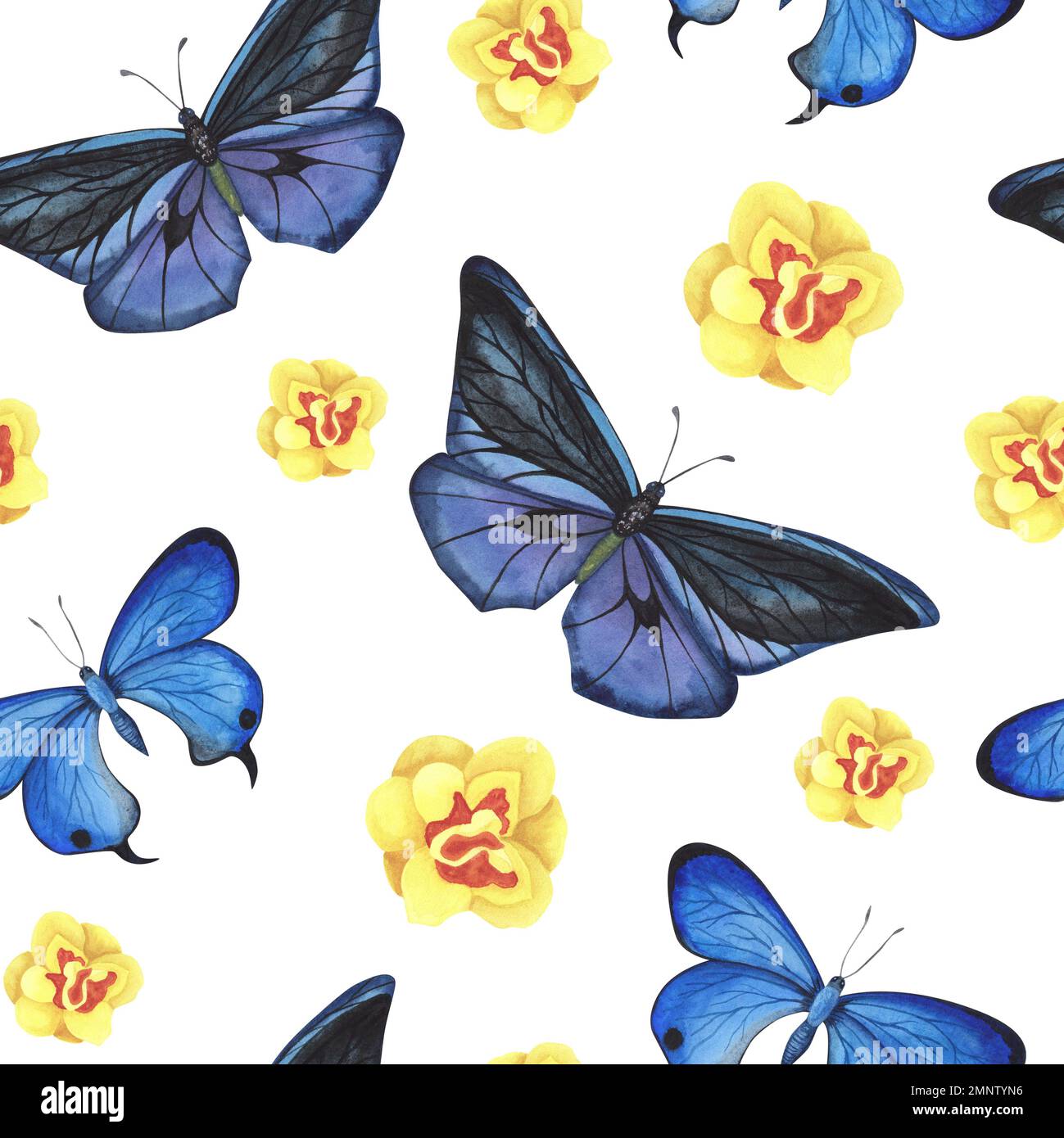 Drawing butterfly pattern on transfer paper Stock Photo - Alamy
