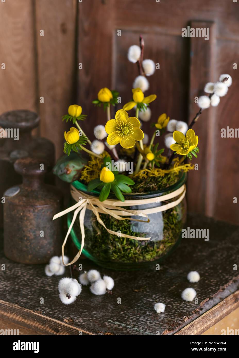 Beautiful spring floristic arrangement  with yellow Winter aconite flowers and willow catkins in a glass jar. Rustic home decor concept. Copy space. Stock Photo