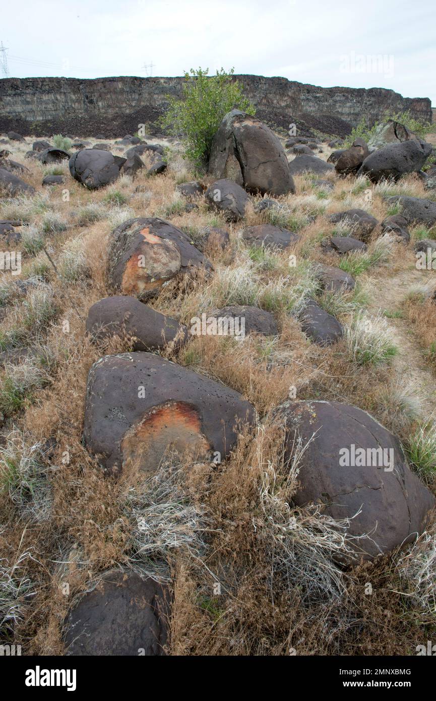 Melon 'gravel' deposited in the Snake River Canyon smoothed as they tumbled down the river during the catastrophic Bonneville Flood 17,400 years ago Stock Photo