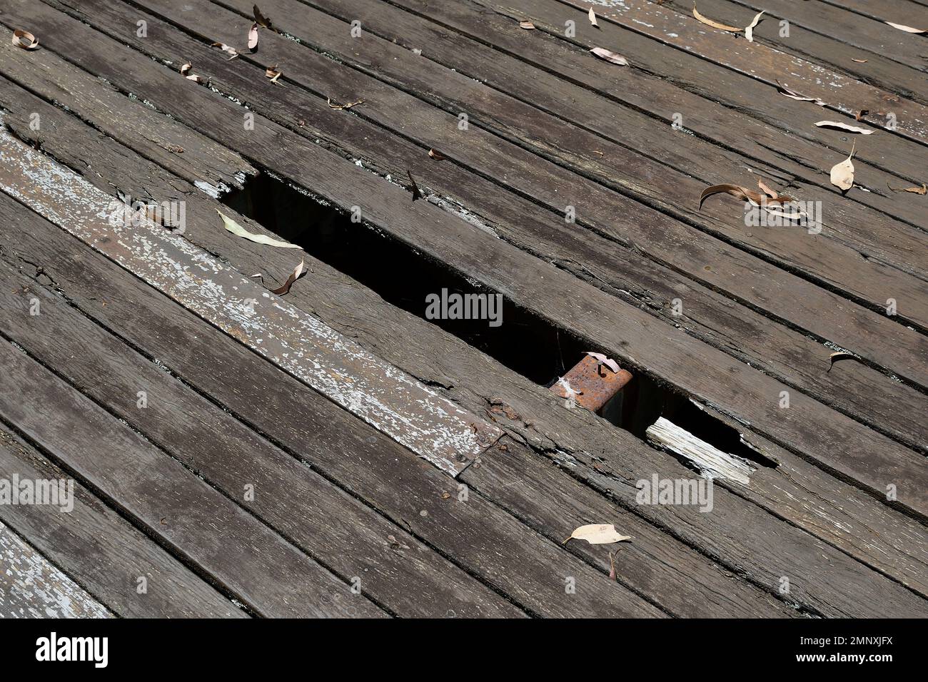 Dangerous, rotted, unvarnished, wooden decking floorboards with holes