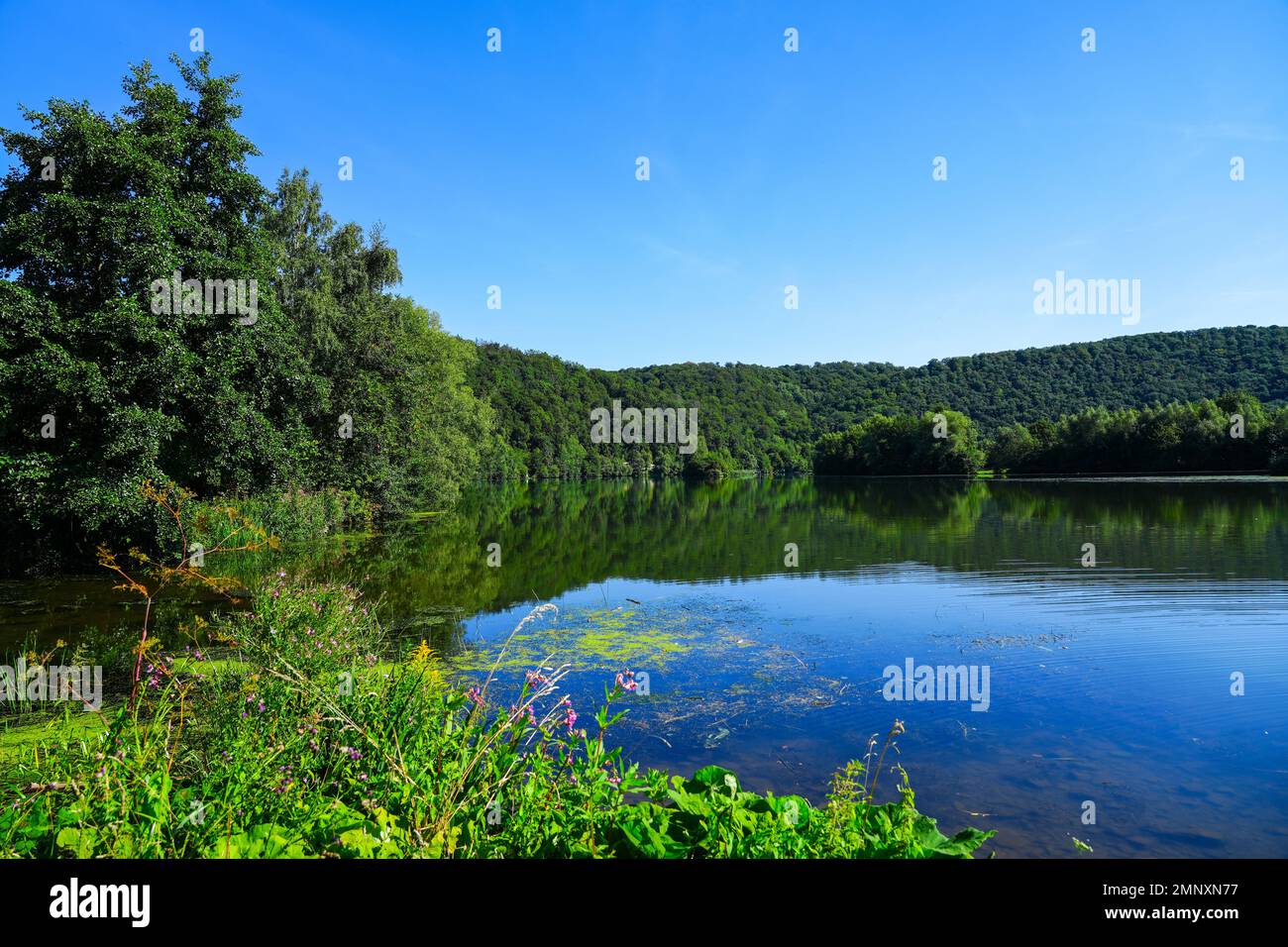 Fulda and the Kragenhof nature reserve near Fuldatal. Landscape near