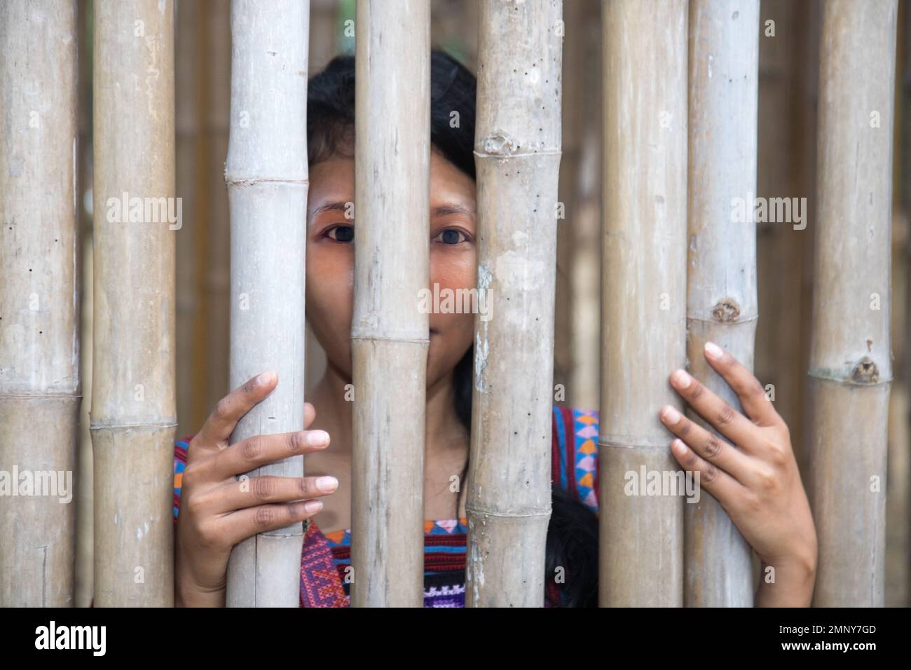 A young woman looks through a bamboo fence Stock Photo