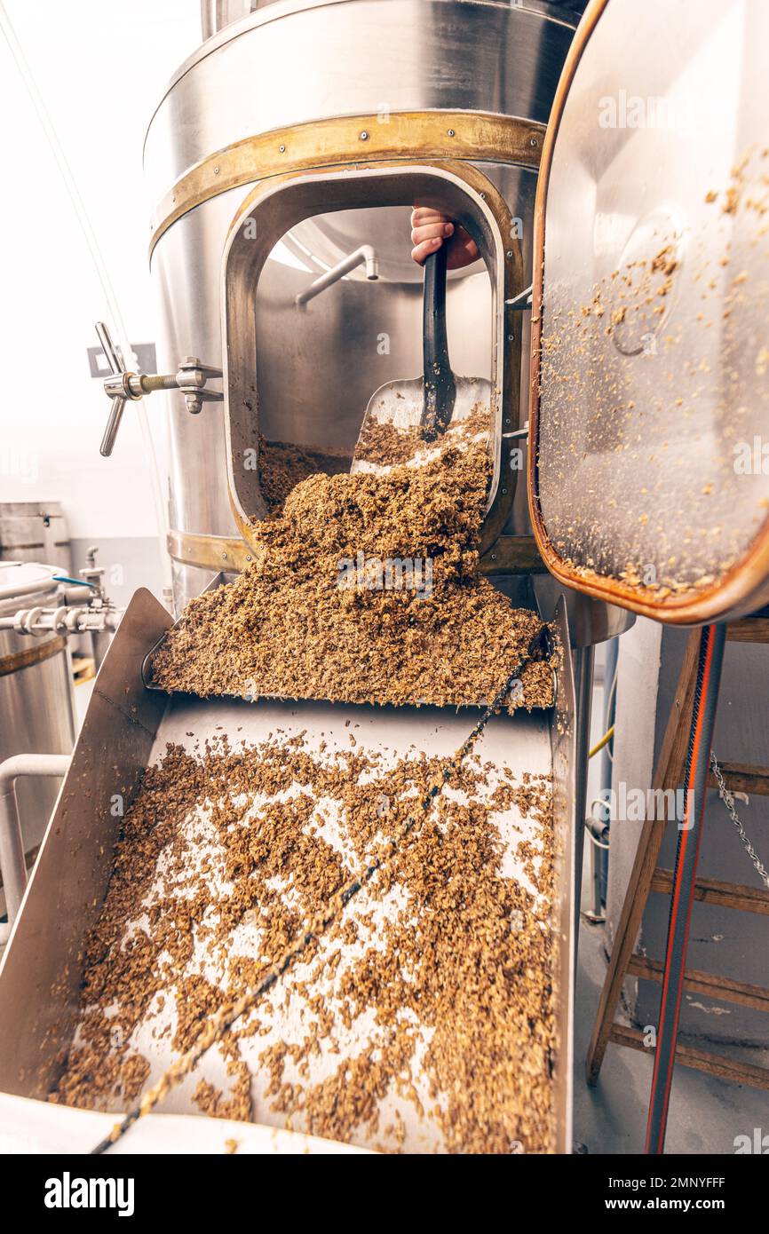 Mashing of milled malt grains for preparing malt. Process of brewing