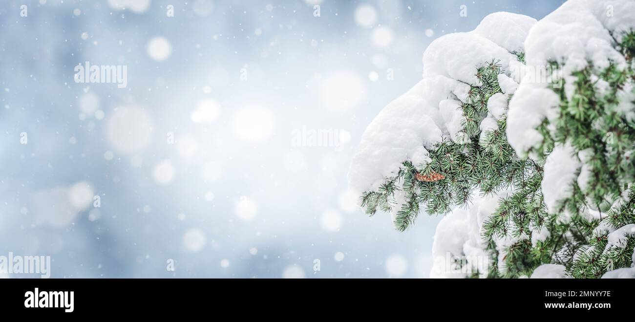 Falling snow blue background hi-res stock photography and images - Alamy