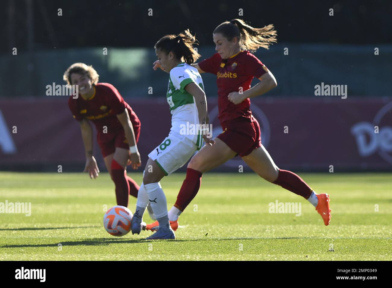 Pondini hires stock photography and images Alamy