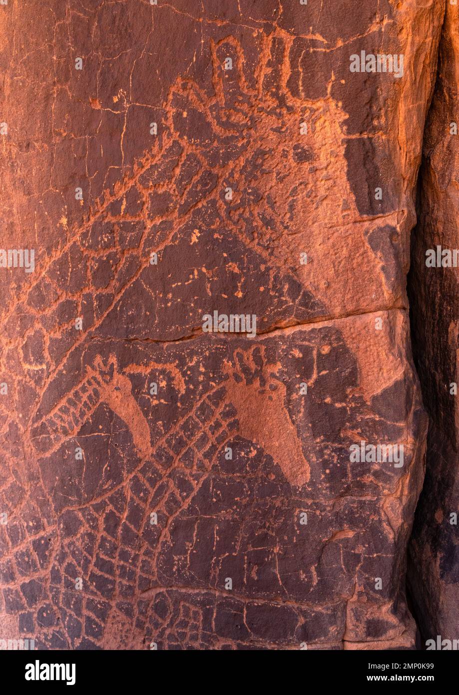 Rock carvings depicting giraffes, Tassili N'Ajjer National Park, Tadrart Rouge, Algeria Stock Photo