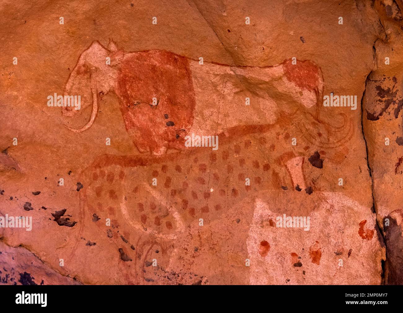Rock painting depicting cows, Tassili N'Ajjer National Park, Tadrart Rouge, Algeria Stock Photo