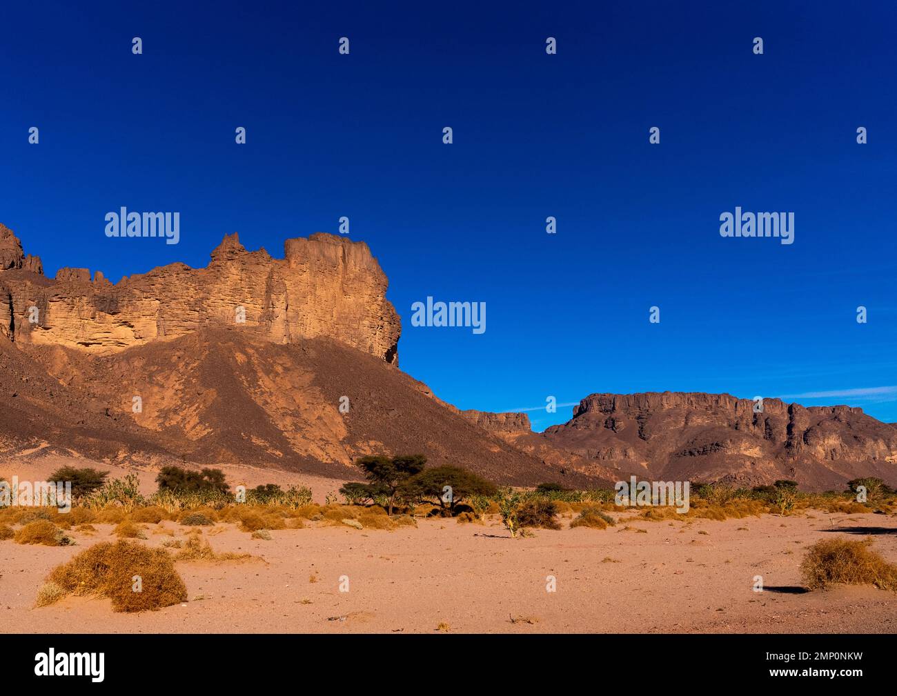 Rock formations in the desert, Tassili N'Ajjer National Park, Tadrart Rouge, Algeria Stock Photo