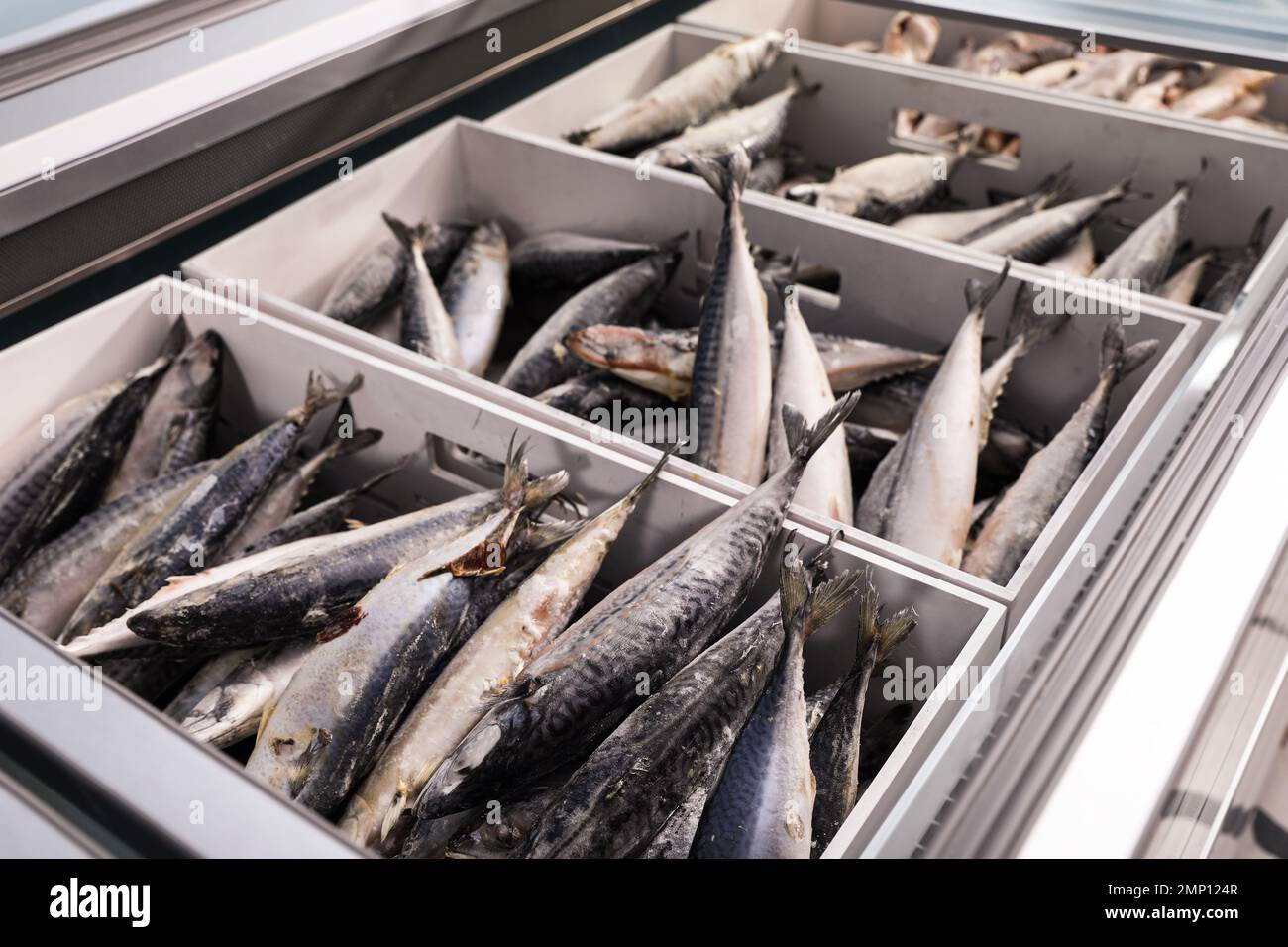 Different types of frozen fish in supermarket Stock Photo Alamy