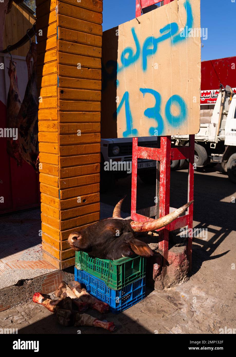 Cow head for sale in the market, North Africa, Algeria Stock