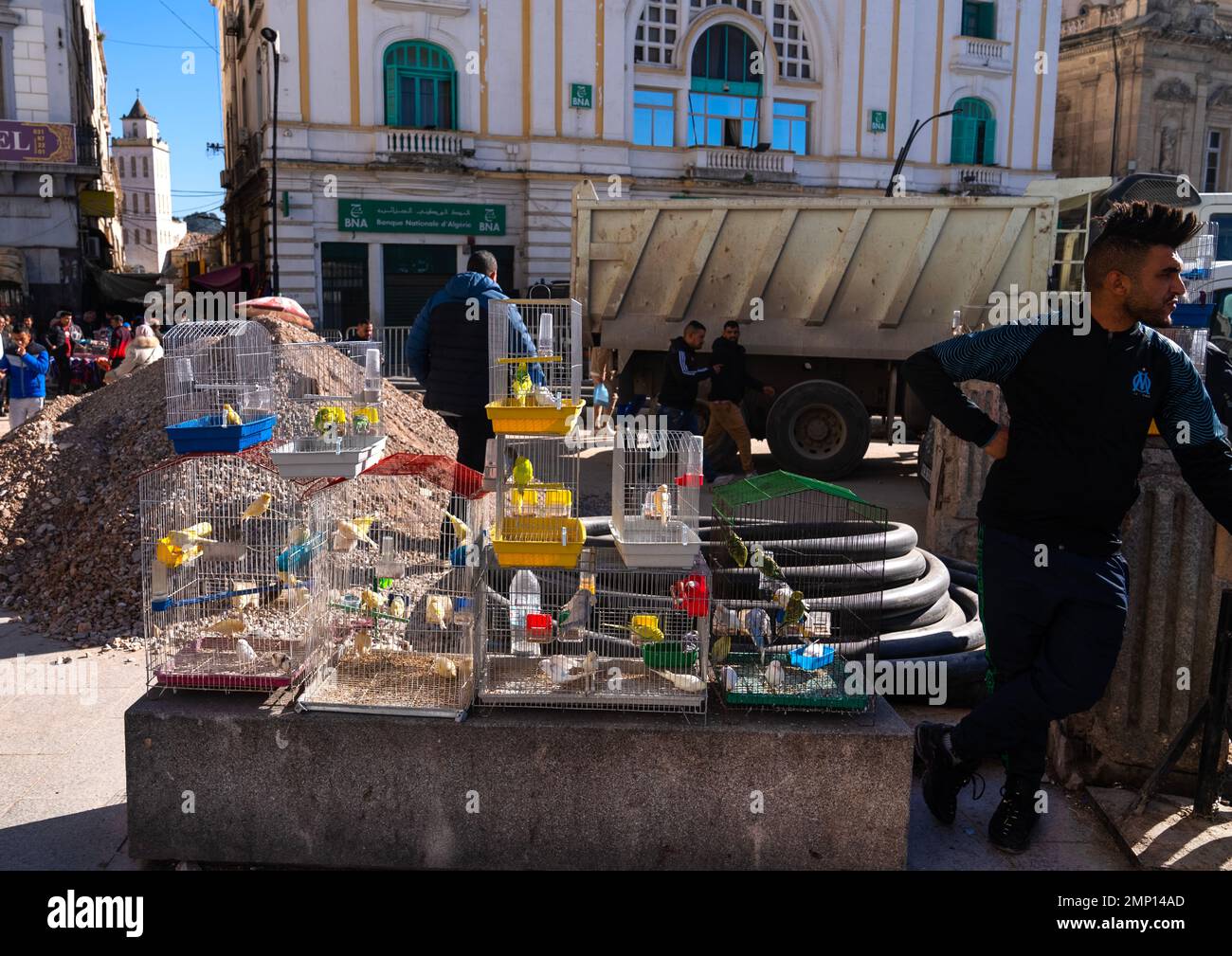 Algerian man selling parakeets in cages in the street, North Africa, Constantine, Algeria Stock Photo