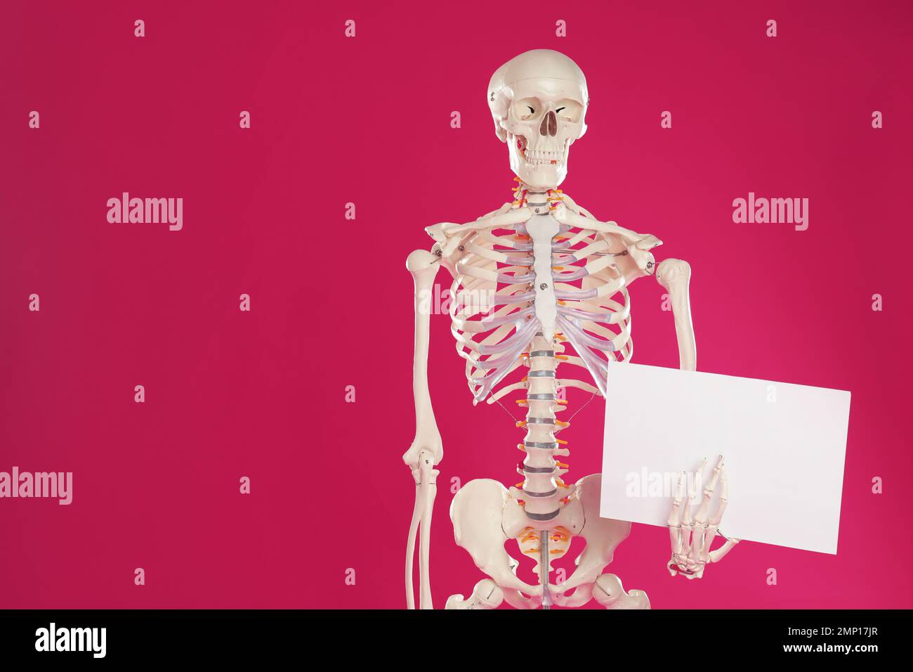 Plastic model sheet hi-res stock photography and images - Alamy