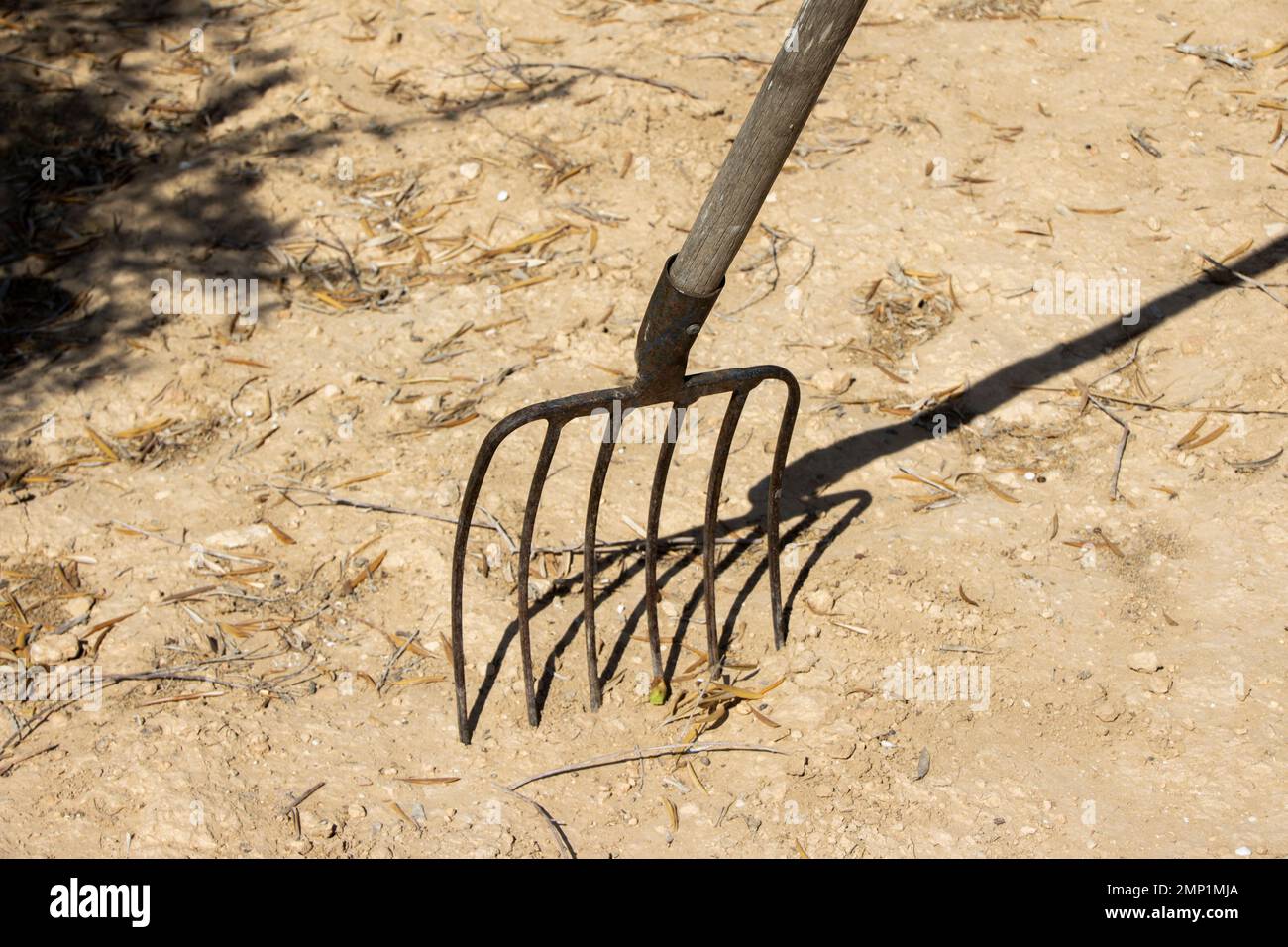 A closeup of the head of a pitchfork stuck in the ground Stock Photo