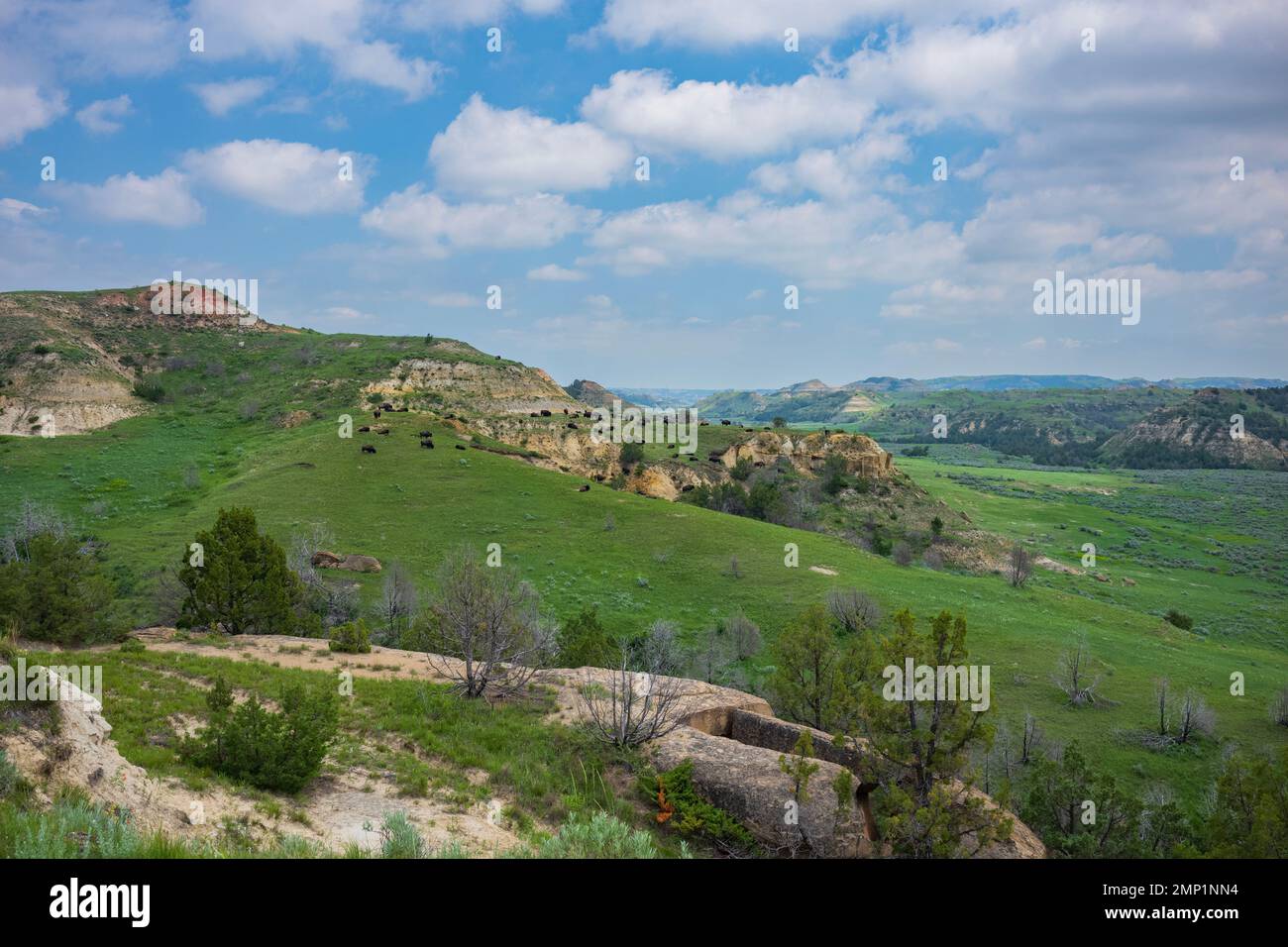 Theodore Roosevelt National Park of North Dakota is where the Great