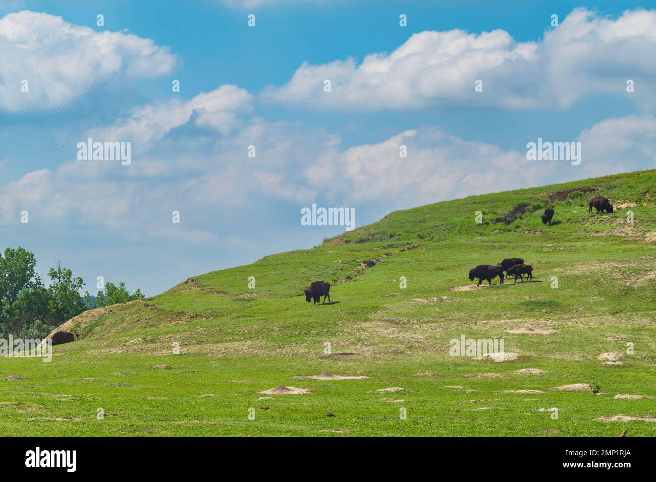 Escape To The Plains: North Dakota Tower Motel & Camping – Your Prairie Paradise Awaits!
