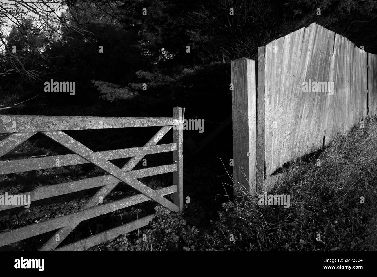 Five bared wooden gate Stock Photo