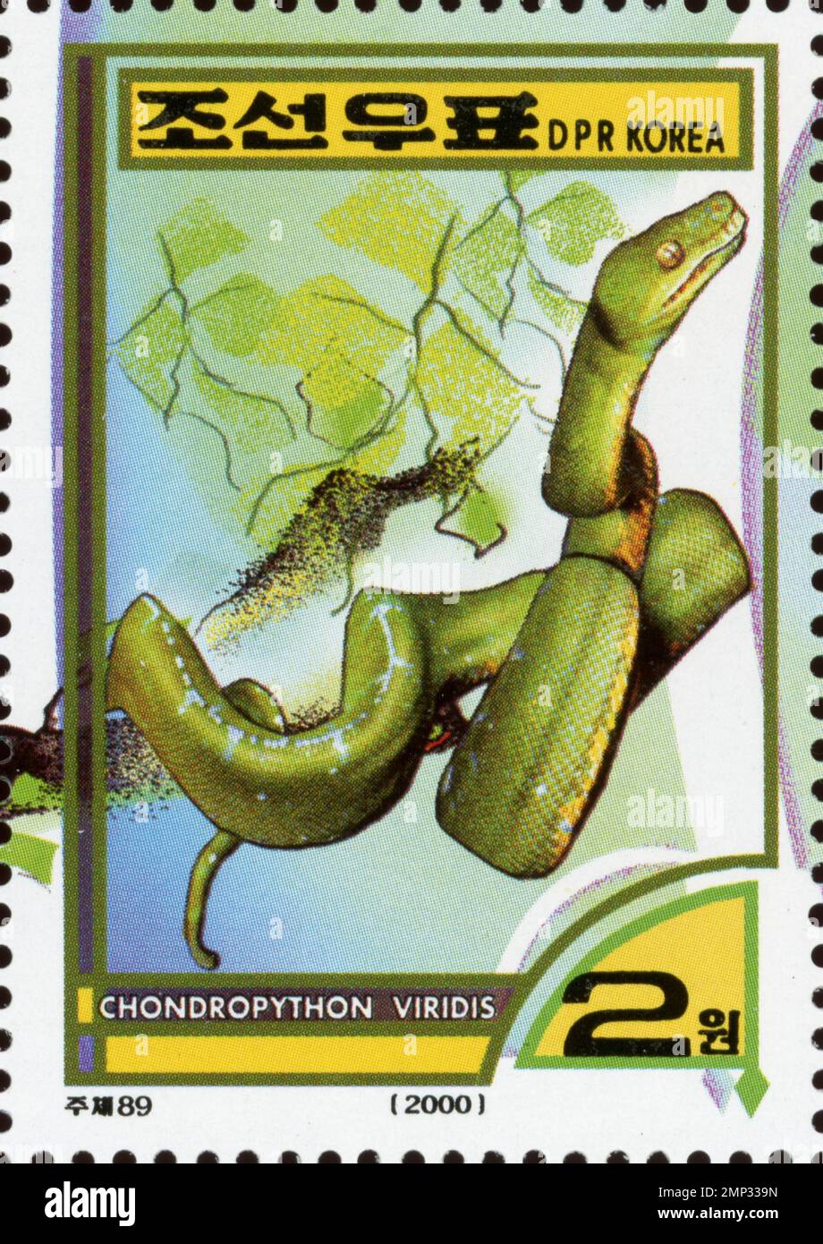 North Korean postage stamp from 2000 featuring a Green Tree Python (Chondropython viridis) on a branch, 2 won denomination. Stock Photo