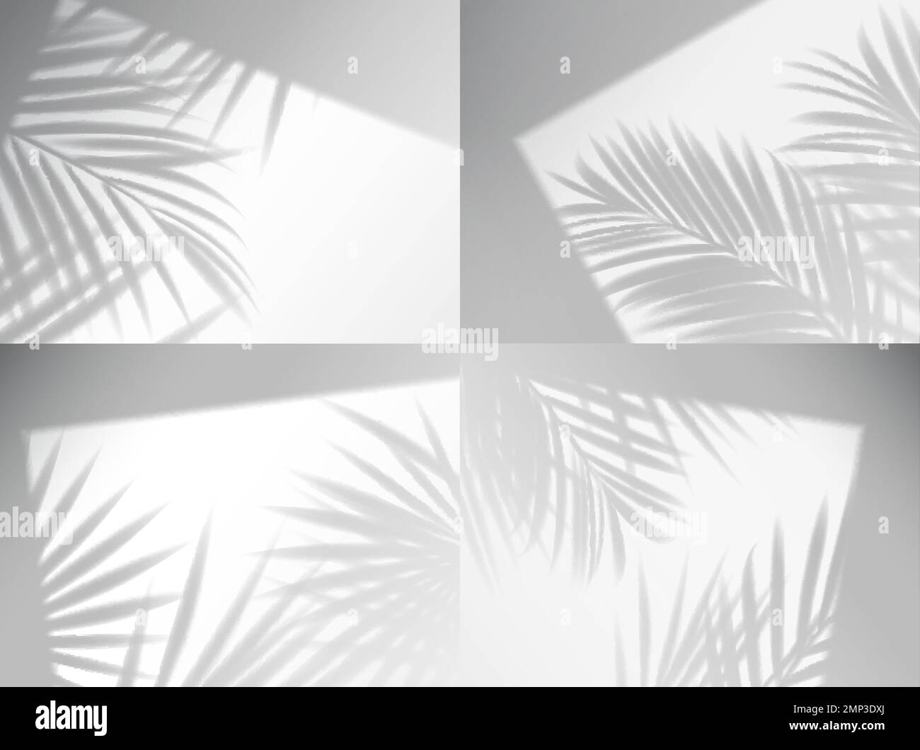 Palm leaves shadow overlay. Vector window frames with plant branches on