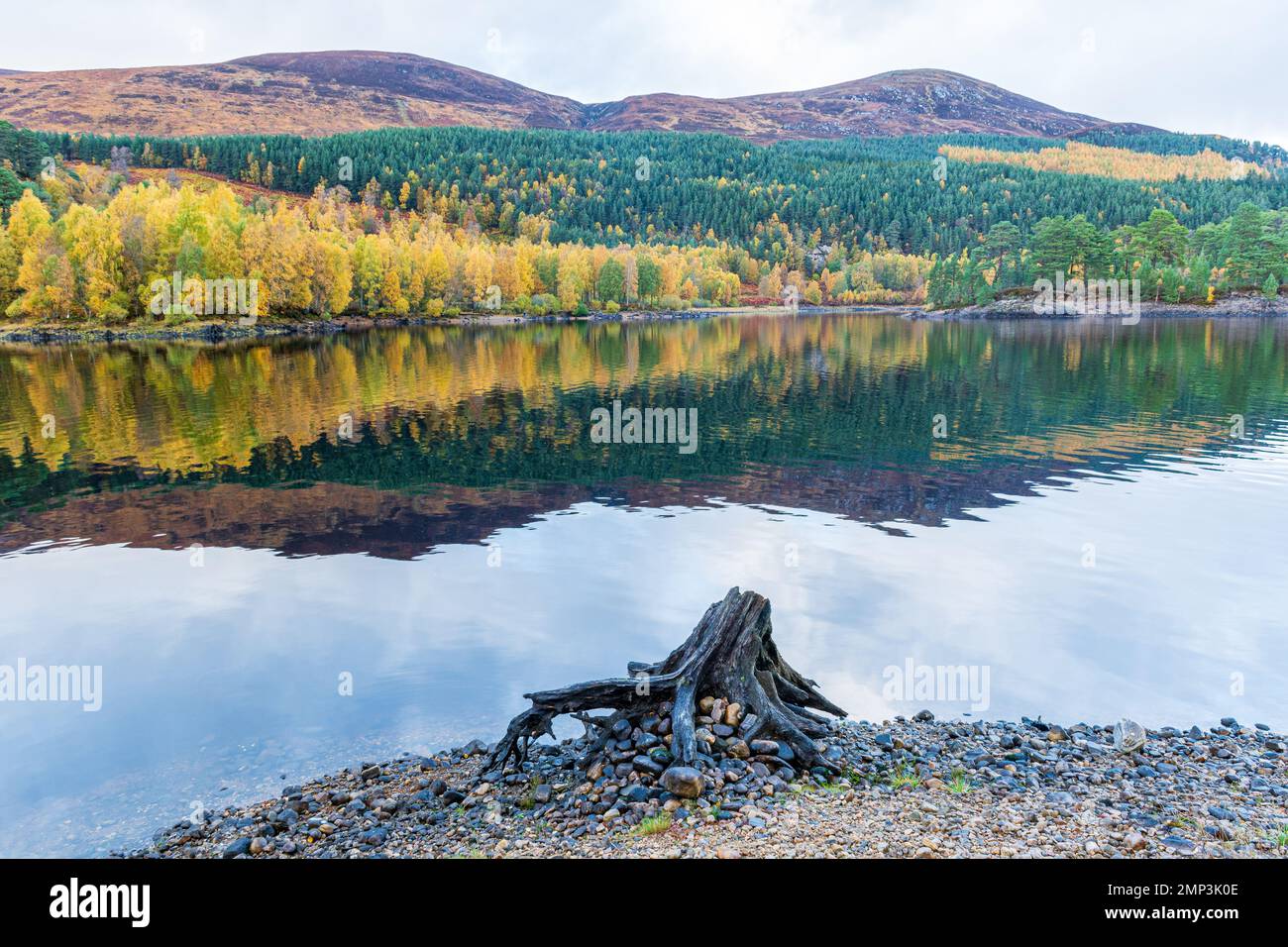 Loch Beinn a Mheadhoin, Glen Affric, Scotland, United KIngdom Stock Photo