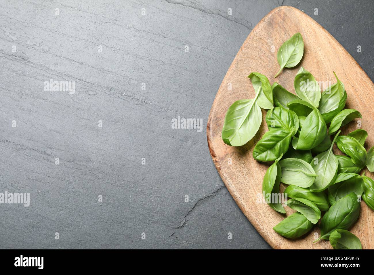 Fresh basil on grey table, top view. Space for text Stock Photo - Alamy