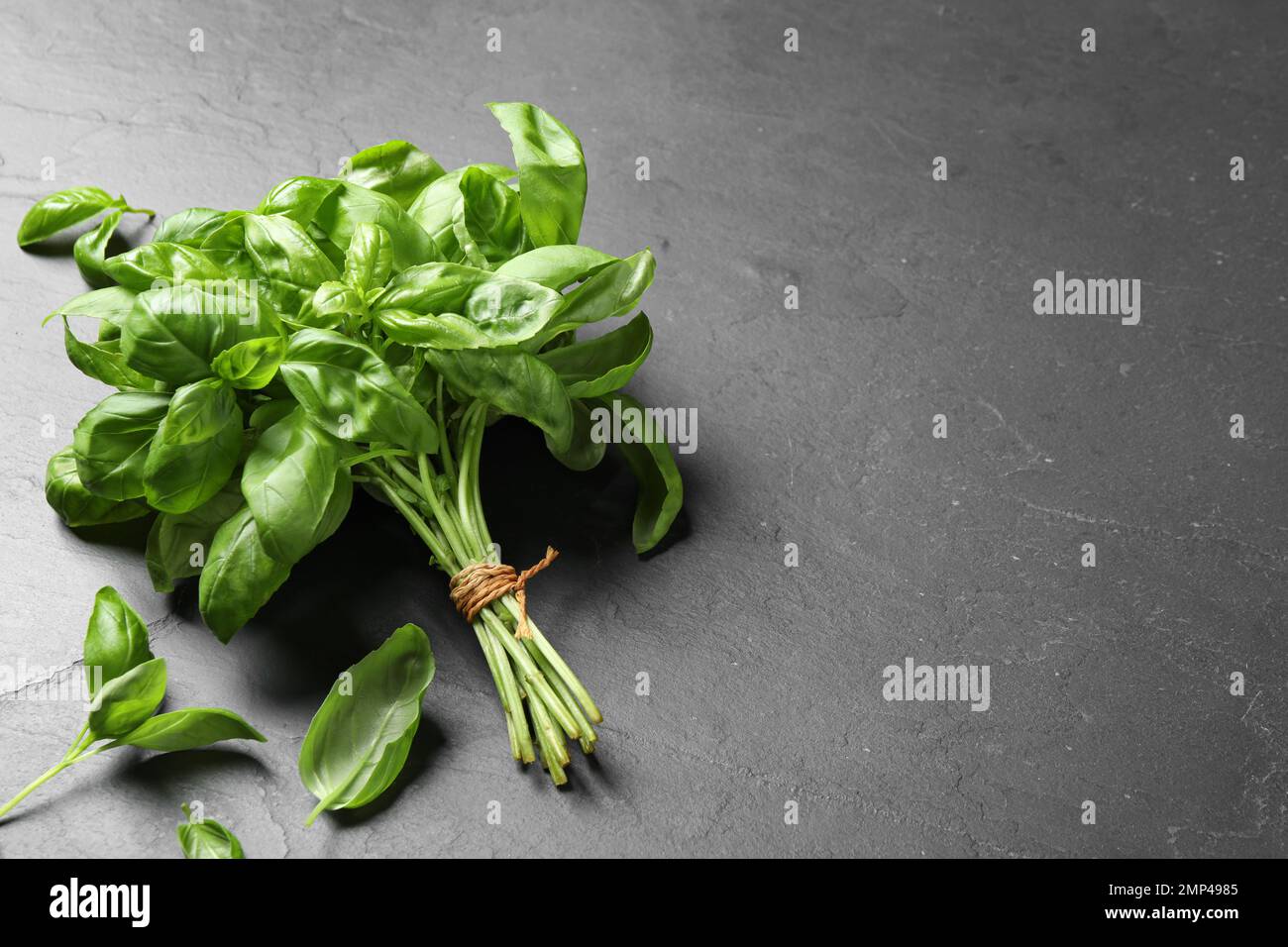 Bunch of fresh basil on grey table. Space for text Stock Photo - Alamy