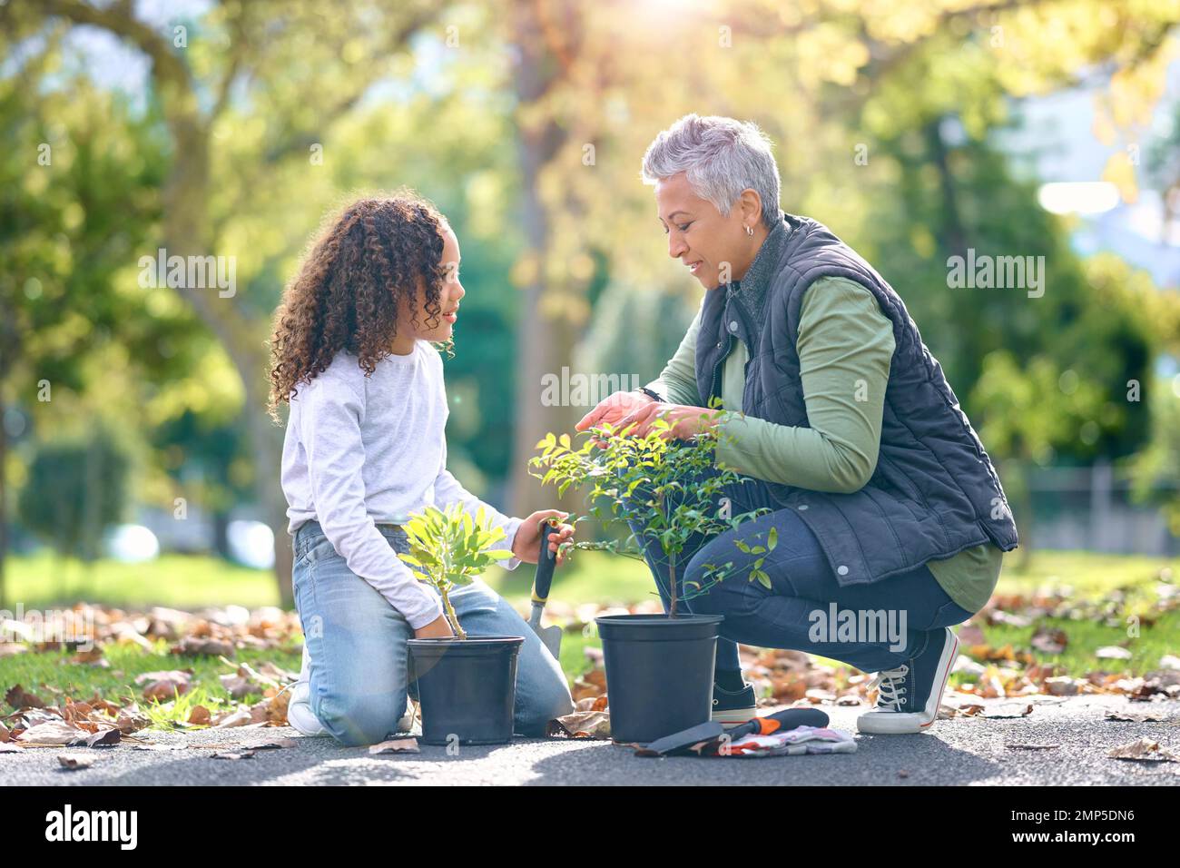 Woman, child and plant while gardening in a park with trees in nature, agriculture or garden. Volunteer team planting for growth, ecology and Stock Photo