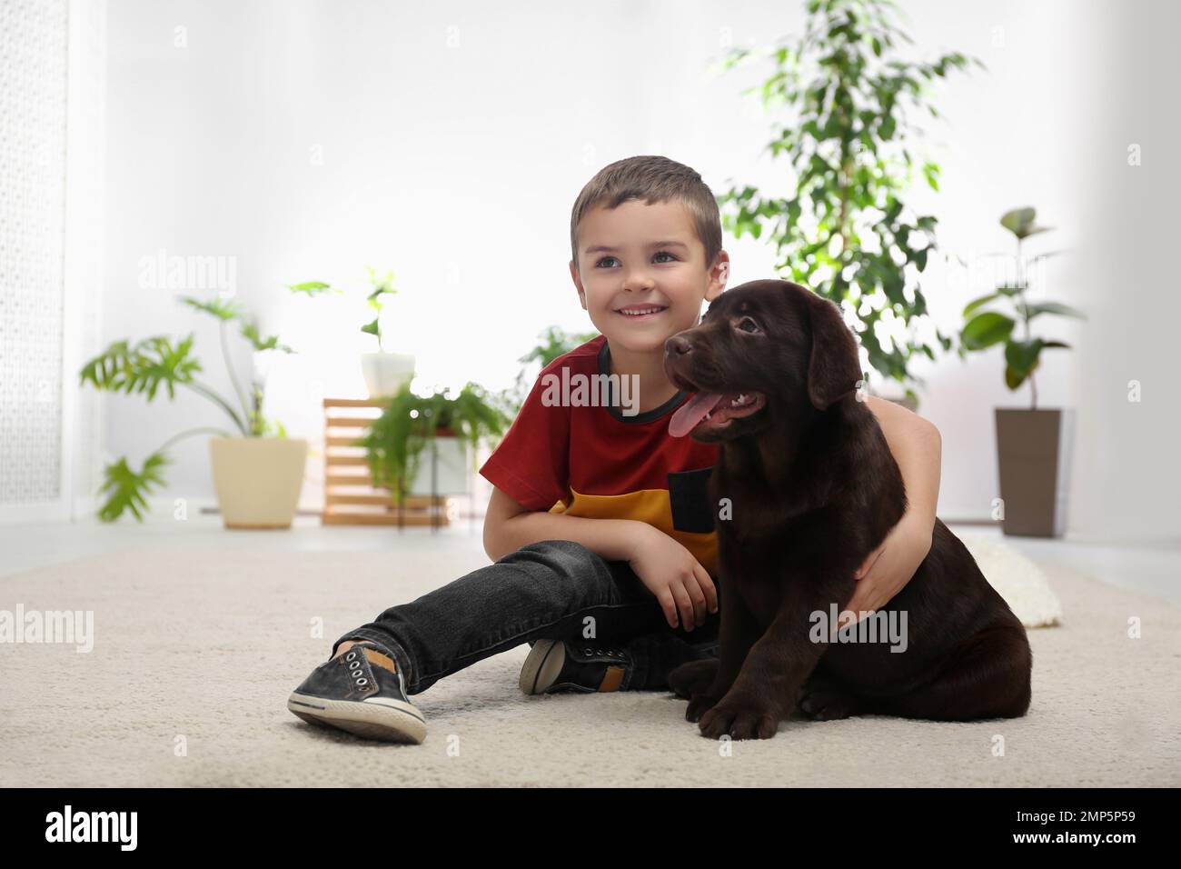 Little boy with puppy on floor at home. Friendly dog Stock Photo