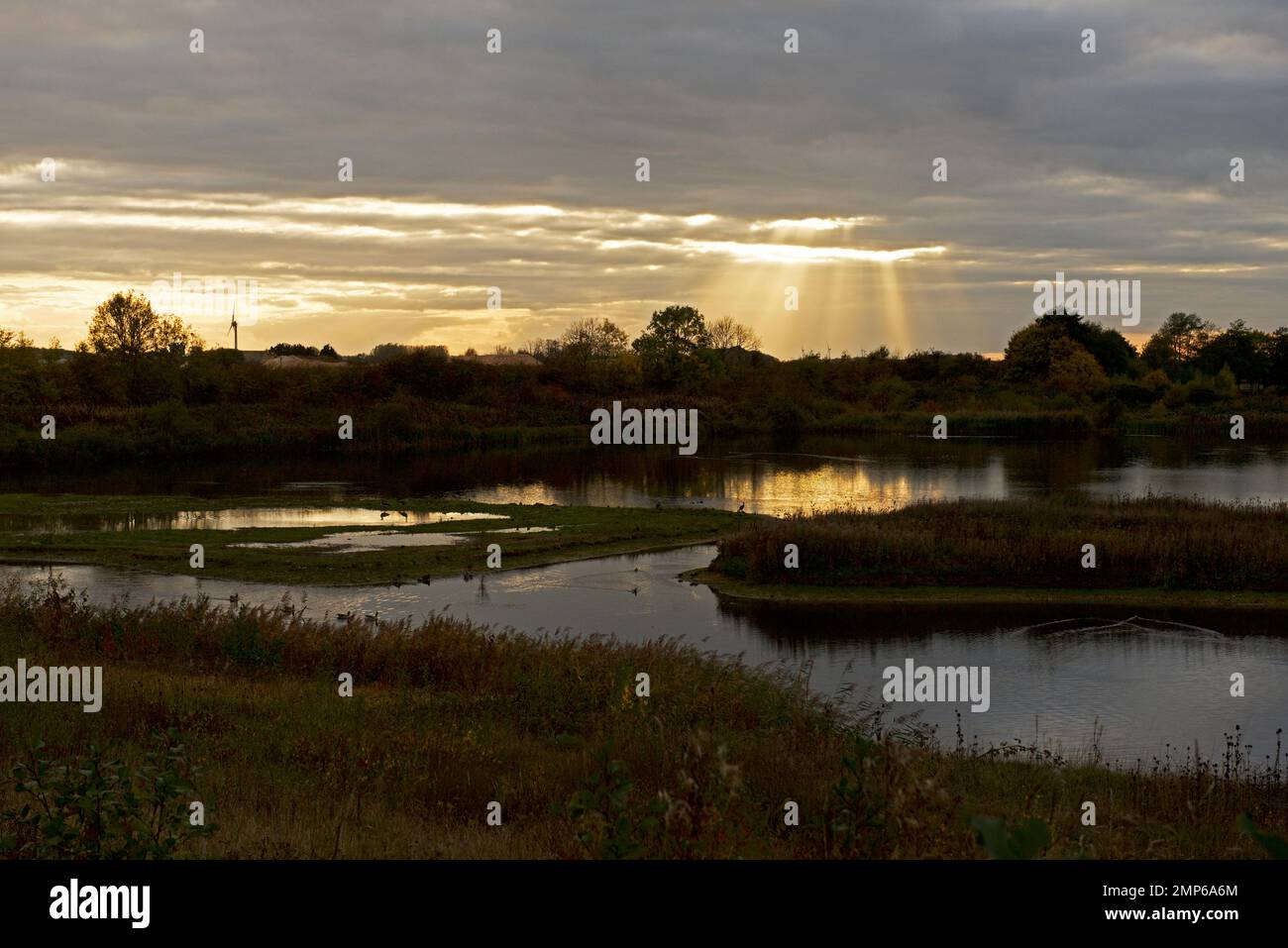 North Cave Wetlands, East Yorkshire, England UK Stock Photo Alamy