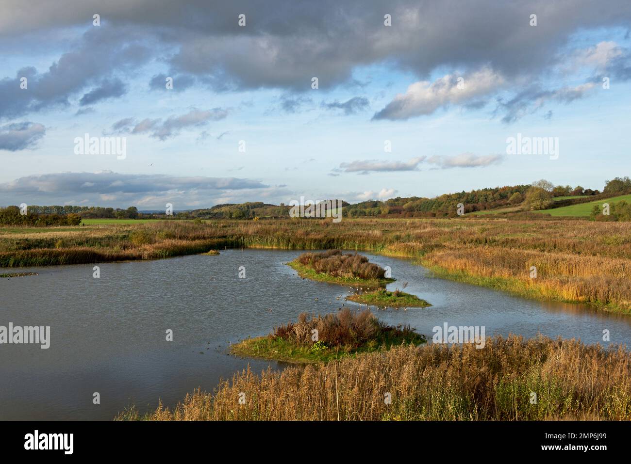North Cave Wetlands, East Yorkshire, England UK Stock Photo Alamy