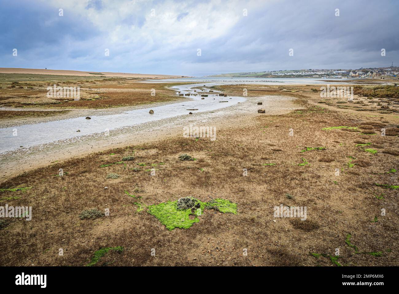 Chesil Beach, near Portland, Jurassic Coast, Dorset, England Stock ...
