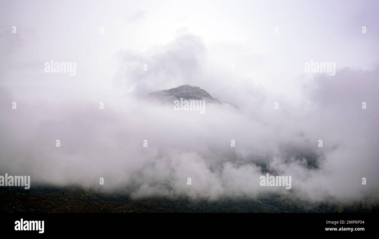 Top of a mountain with trees shrouded in fog in Altai Stock Photo - Alamy