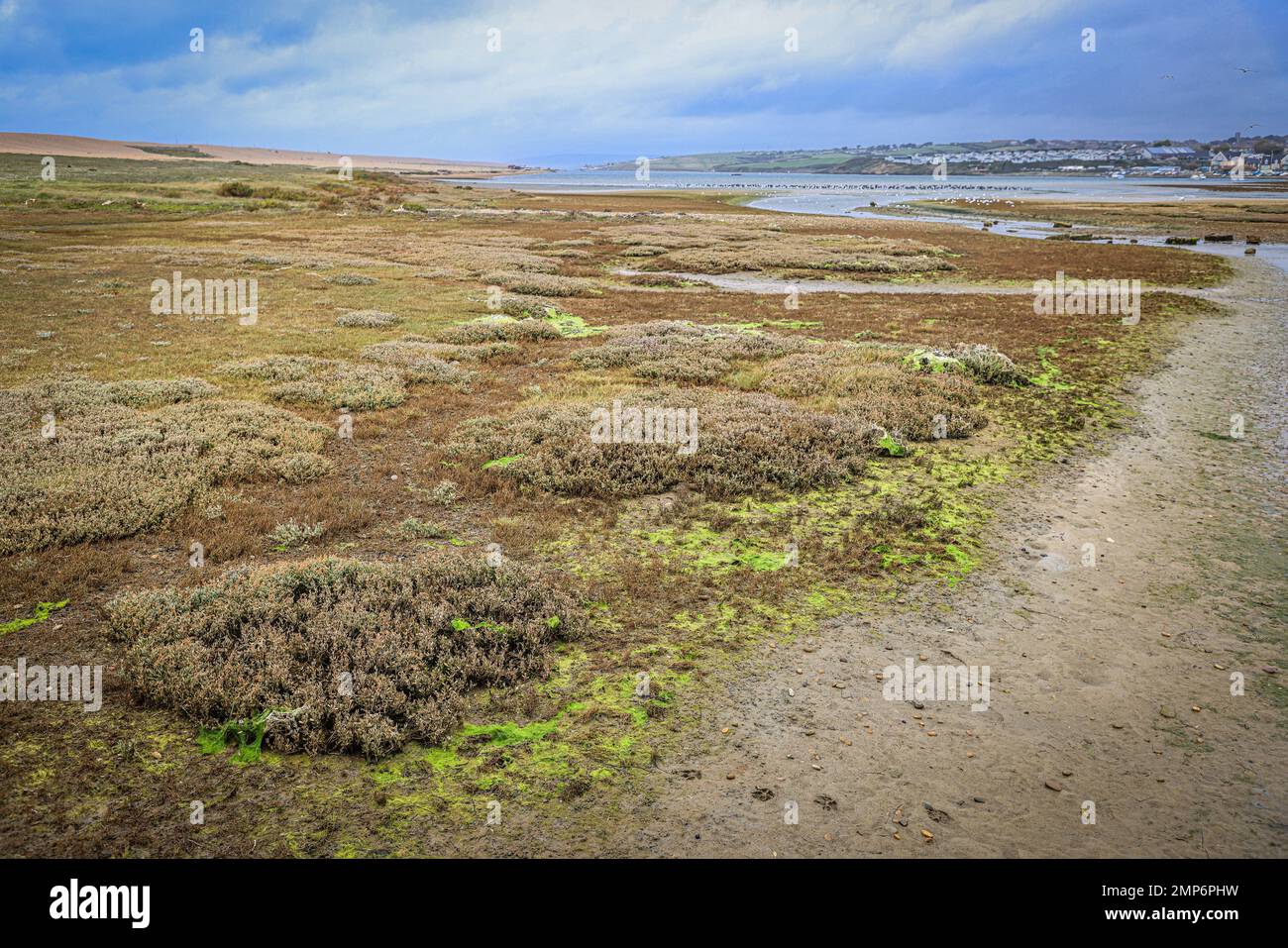 Chesil Beach, near Portland, Jurassic Coast, Dorset, England Stock