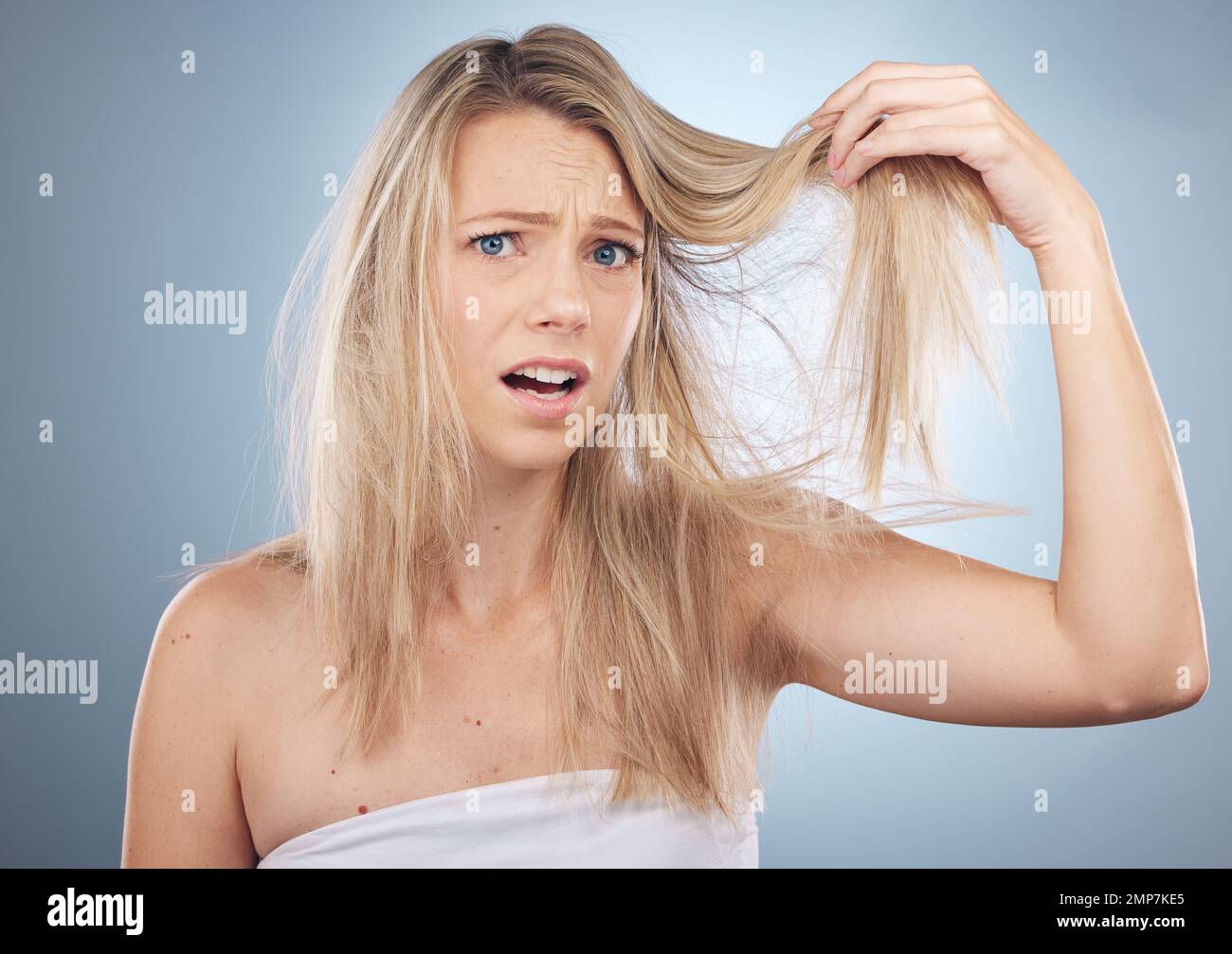 Hair loss, face portrait and shocked woman in studio isolated on a gray background. Beauty, surprised and female model sad, angry or frustrated with Stock Photo