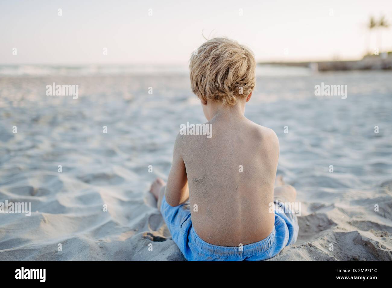 Little boy playing on the beach, rear view. Stock Photo