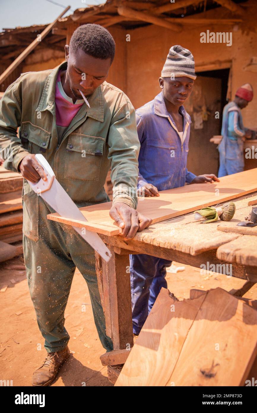 A carpenter cuts a board with a handsaw while his colleague watches Stock Photo