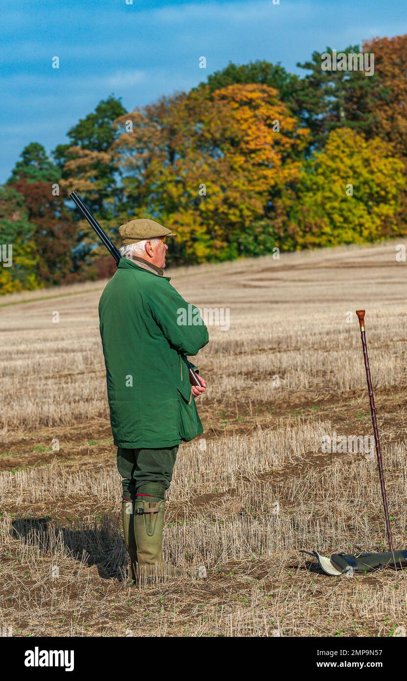 A man with a shotgun at the start of a pheasant shoot on a warm autumn