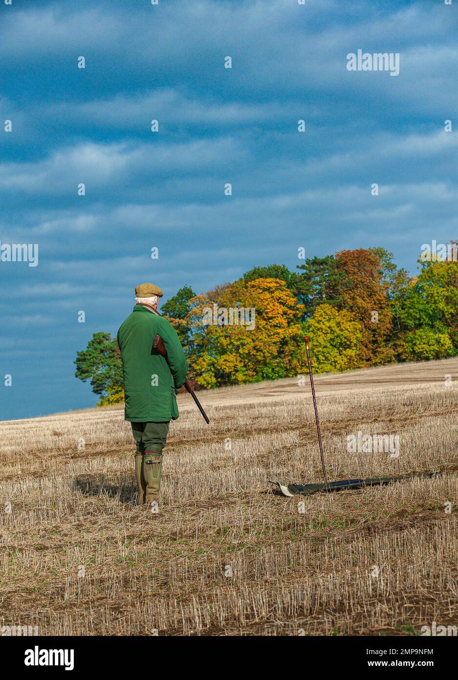A man with a shotgun at the start of a pheasant shoot on a warm autumn sunny afternoon Stock Photo
