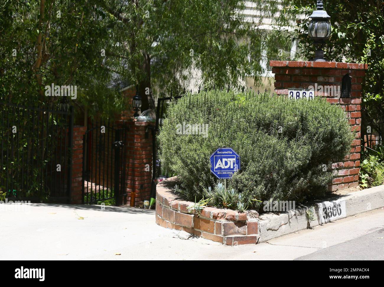 Anton Yelchin House anton-yelchin