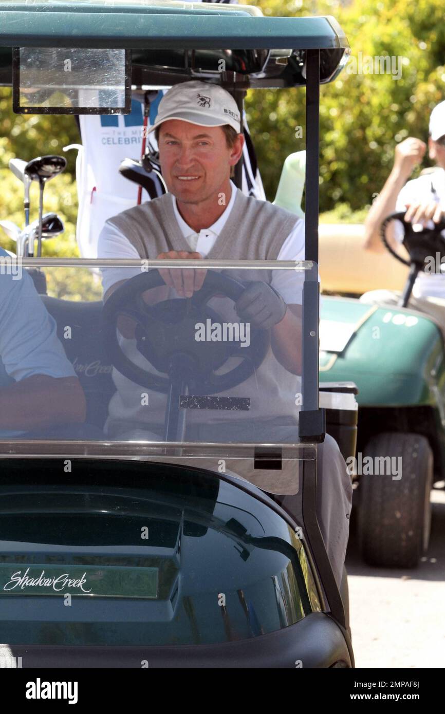 wayne gretzky michael jordan