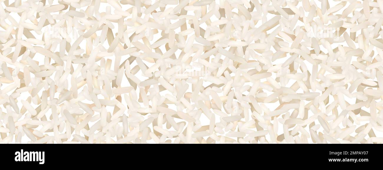 Basmati or jasmine uncooked rice seamless pattern Stock Vector Image